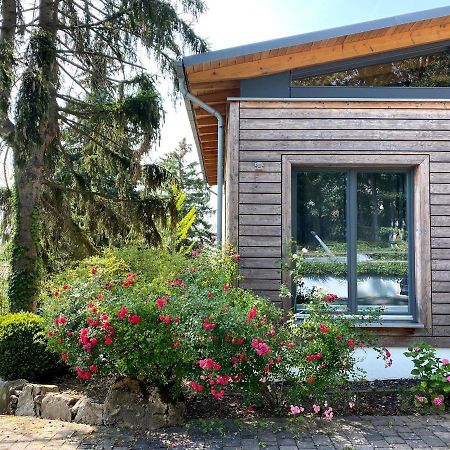 Balthasar Ress Guesthouse Am Rebhang Im Rheingau Oestrich-Winkel Bagian luar foto