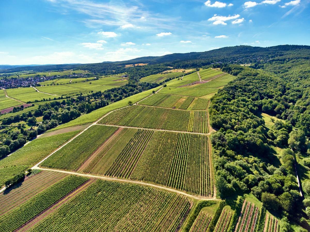Balthasar Ress Guesthouse Am Rebhang Im Rheingau Oestrich-Winkel Bagian luar foto
